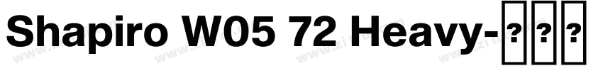Shapiro W05 72 Heavy字体转换 Shapiro W05 72 Heavy字体转换